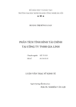 Luận văn: Phân tích tài chính Công ty TNHH Gia Linh