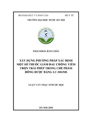 Thái khoa bảo châu xây dựng phương pháp - Luận văn ThS