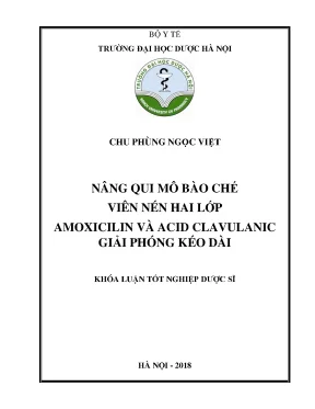 Chu phùng ngọc việt nâng qui mô bào chế - Khóa luận