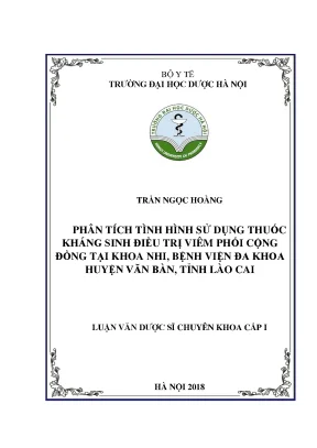 Trần ngọc hoàng phân tích tình hình sử