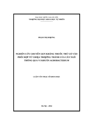 Luận văn: Tạo ngô chuyển gen kháng thuốc trừ cỏ