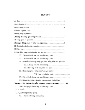 Kỹ thuật trồng nấm bào ngư xám trên mạt cưa (Toàn tập)