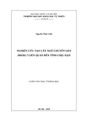 Nghiên cứu tạo ngô chuyển gen DREB2 chịu hạn (Luận văn)