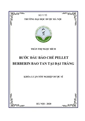 Trần thị ngọc bích bước đầu bào chế - Khóa luận