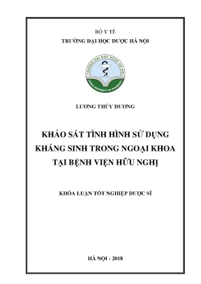 Lương thùy dương khảo sát tình hình sử - Khóa luận