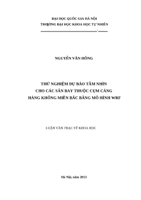 Thử nghiệm dự báo tầm nhìn cho các sân - Luận văn ThS