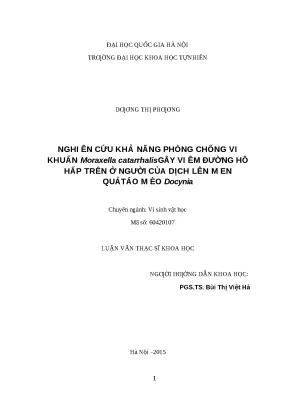 Táo mèo lên men: Kháng khuẩn viêm đường hô hấp