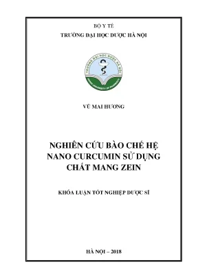 Vũ mai hương nghiên cứu bào chế hệ nano - Khóa luận