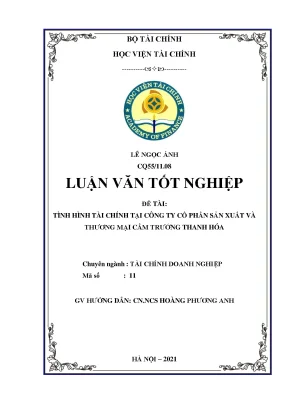 Tình hình tài chính tại công ty cổ phần - Khóa luận