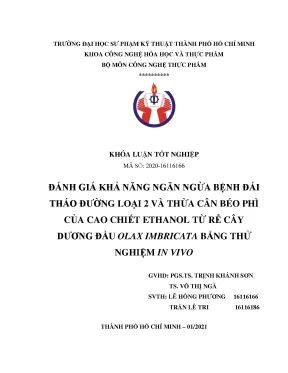 Rễ Dương đầu (Olax imbricata): Ngừa tiểu đường, béo phì