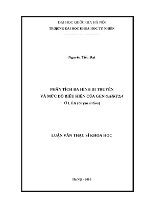 Gen OsHKT2;4: Biểu hiện & Đa hình di truyền ở Lúa