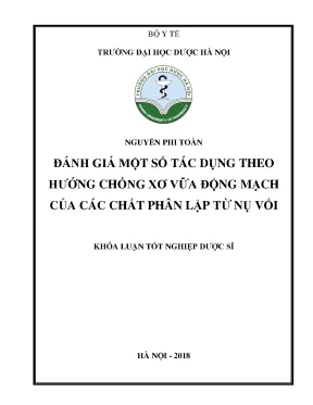 Nguyễn phi toàn đánh giá một số tác - Khóa luận