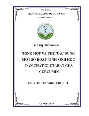Dẫn chất Curcumin: Hoạt tính chống ung thư & oxy hóa