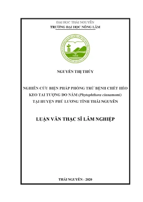 Phòng trừ bệnh chết héo keo tai tượng do nấm hiệu quả