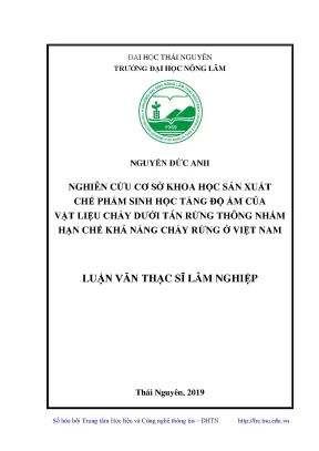 Chế phẩm sinh học giúp phòng chống cháy rừng thông hiệu quả