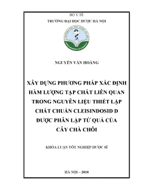 Nguyễn văn hoàng xây dựng phương pháp - Khóa luận