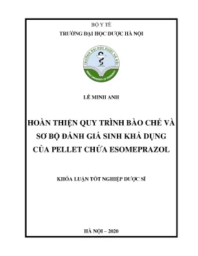 Lê minh anh hoàn thiện quy trình bào - Khóa luận