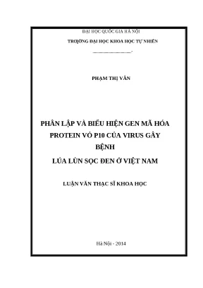 Phân lập & biểu hiện gen P10 virus lúa lùn sọc đen
