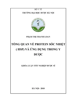 Phạm thị thanh loan tổng quan về - Khóa luận