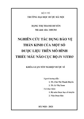 Đặng thị thanh huyền nghiên cứu tác - Khóa luận