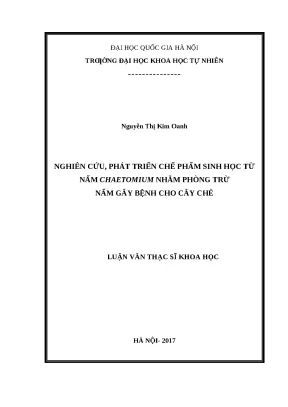Chế phẩm sinh học nấm Chaetomium phòng trừ bệnh cây chè