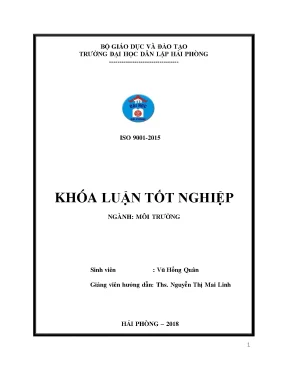 Mỏ than Vàng Danh: Hiện trạng ô nhiễm & giải pháp giảm thiểu