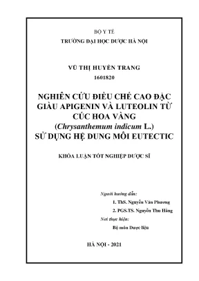Cao đặc Cúc Hoa Vàng: Chiết xuất Apigenin & Luteolin