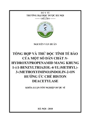 Nguyễn văn huân tổng hợp và thử độc - Khóa luận