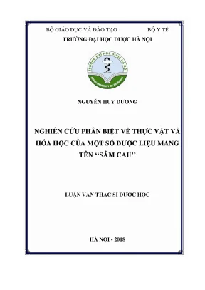 Nguyễn huy dƣơng nghiên cứu phân biệt - Luận văn ThS