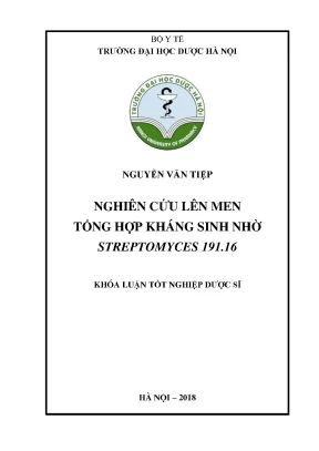 Nguyễn văn tiệp nghiên cứu lên men tổng - Khóa luận