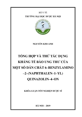 Nguyễn kim anh tổng hợp và thử tác dụng - Khóa luận