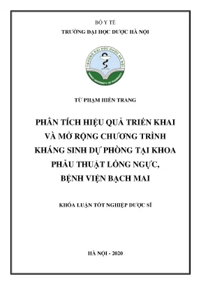 Từ phạm hiền trang phân tích hiệu quả - Khóa luận