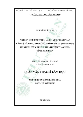 Giải pháp bảo vệ & phát triển rừng thông ba lá Tủa Chùa