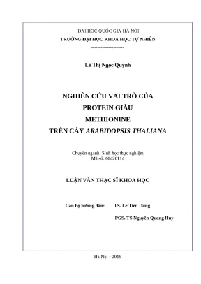 Luận văn: Protein giàu Methionine ở Arabidopsis thaliana