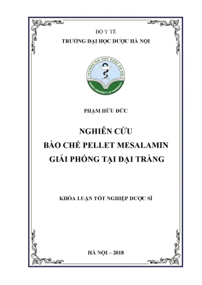 Phạm hữu đức nghiên cứu bào chế pellet - Khóa luận