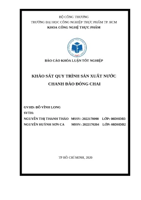 Nghiên cứu quy trình sản xuất nước chanh đào đóng chai