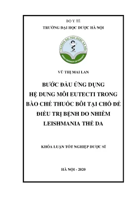 Vũ thị mai lan bước đầu ứng dụng hệ - Khóa luận