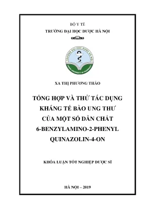 Xa thị phƣơng thảo tổng hợp và thử tác - Khóa luận