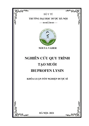 Quy trình tạo muối Ibuprofen Lysin: Khóa luận Dược sĩ