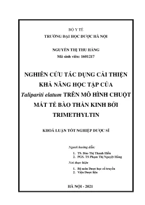 Tác dụng của Talipariti elatum với suy giảm trí nhớ
