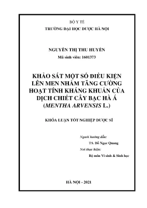 Lên men dịch chiết bạc hà tăng hoạt tính kháng khuẩn