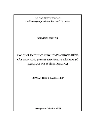 Kỹ thuật gieo ươm và trồng rừng cây Gáo vàng ở Đồng Nai