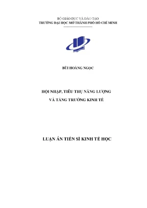 Hội nhập, tiêu thụ năng lượng và tăng trưởng kinh tế Việt Nam