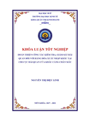Nghiên cứu kiểm tra giám sát hải quan hàng XNK tại Chân Mây