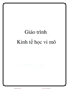 Giáo trình Kinh tế vi mô - PGS. Lê Thế Giới