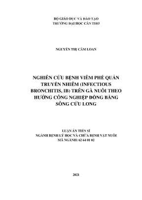 Nghiên cứu bệnh IB trên gà công nghiệp tại ĐBSCL