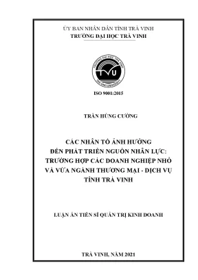 Phát triển nguồn nhân lực DN nhỏ và vừa ngành TM-DV Trà Vinh