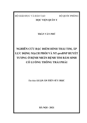 Biến đổi tim, áp lực ĐMP và NT-proBNP ở bệnh nhân tim bẩm sinh