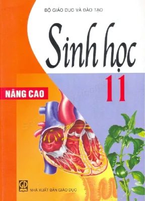 Sách giáo khoa Sinh học 11 nâng cao - Bộ GD&ĐT