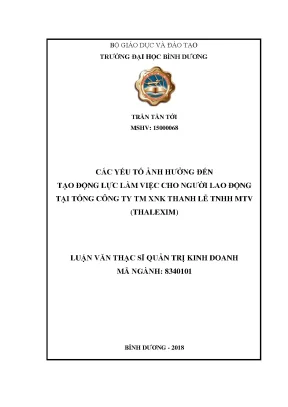 Các yếu tố ảnh hưởng động lực làm việc tại THALEXIM